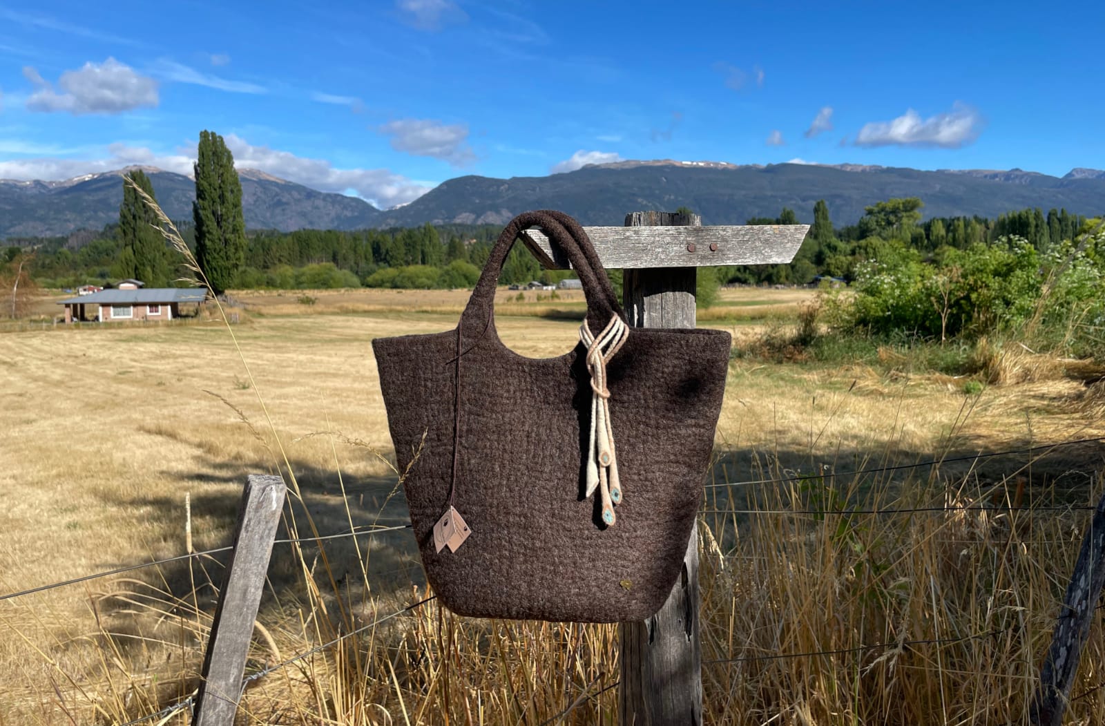 Interior view of handmade felt handbag showing soft Merino wool and minimalist Patagonia design.