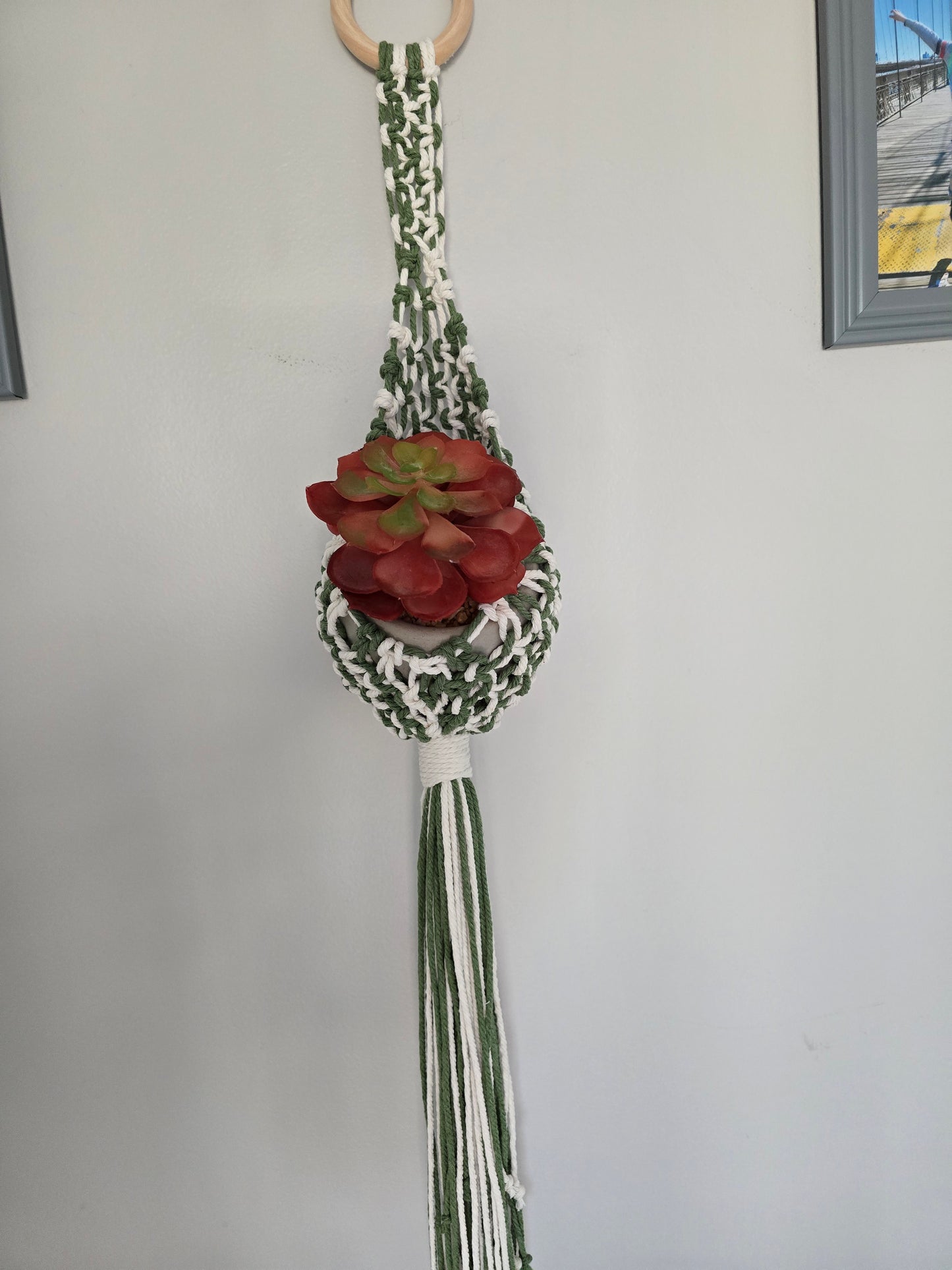 Plant Hanger Nest - Alpenrose