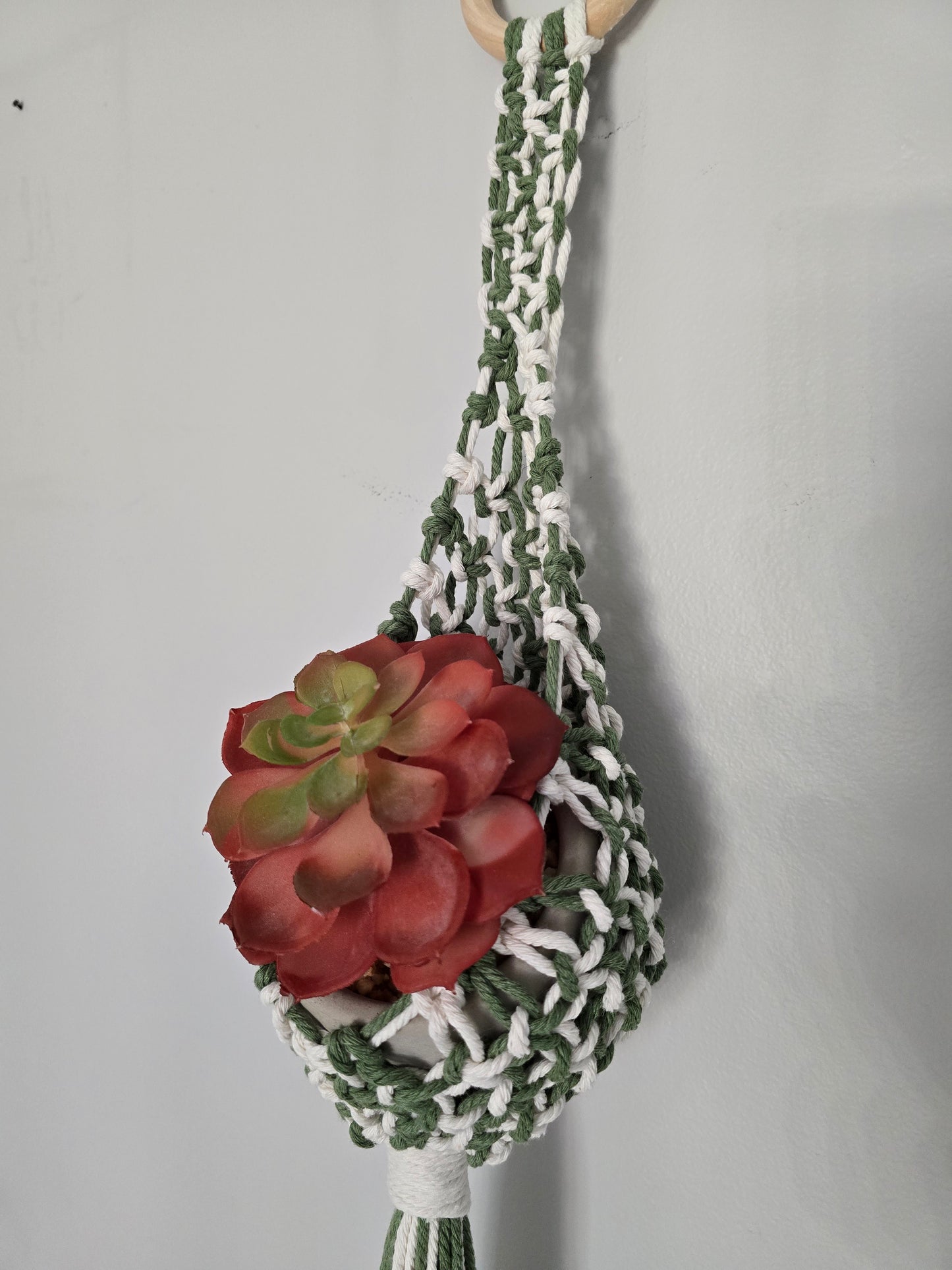 Plant Hanger Nest - Alpenrose