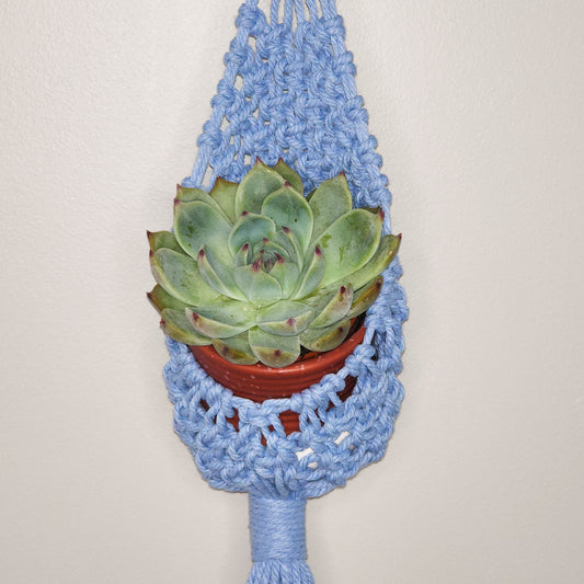 Mini nest plant hanger Alpenrose