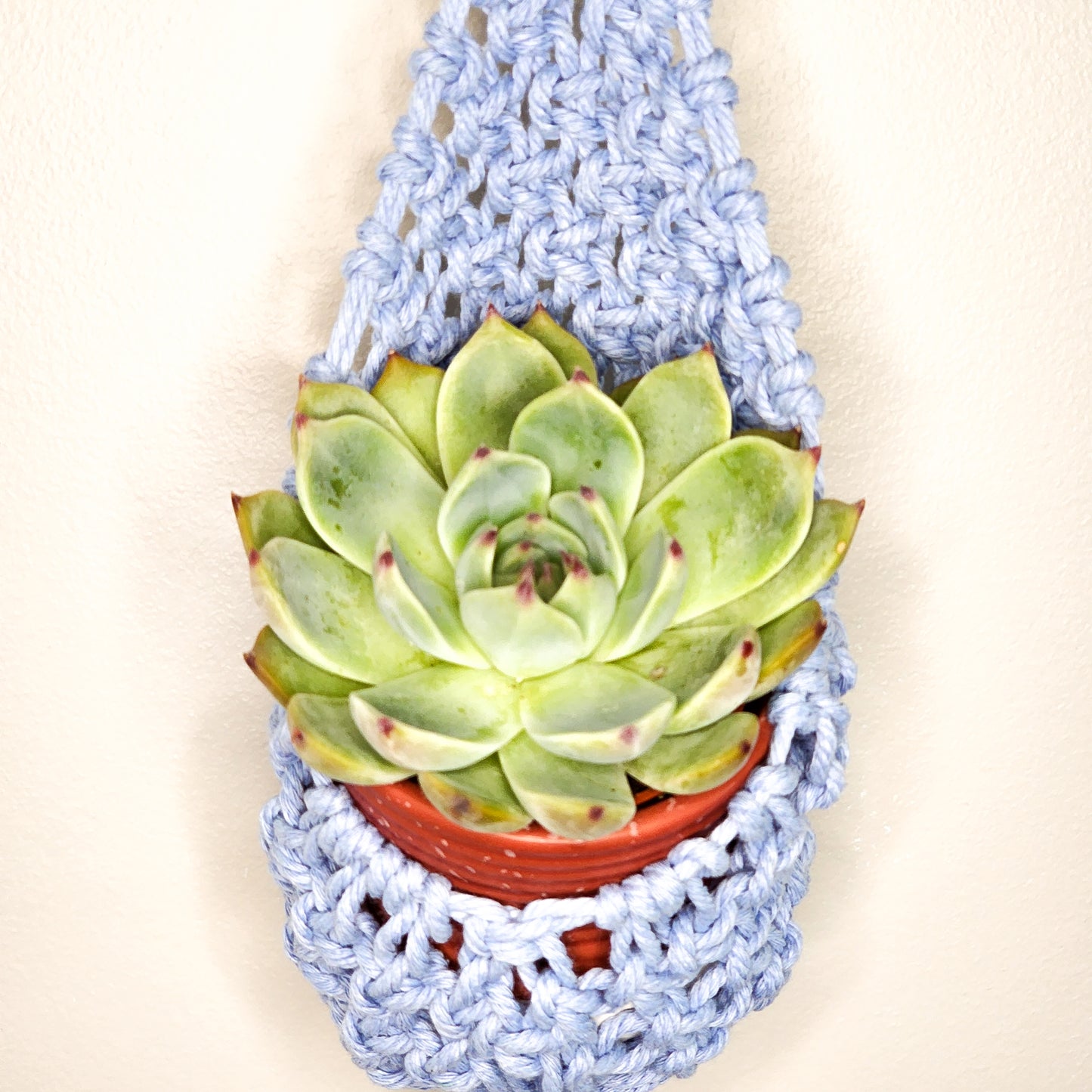 Mini nest plant hanger Alpenrose