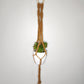 Macrame Plant Hanger - Marguerite