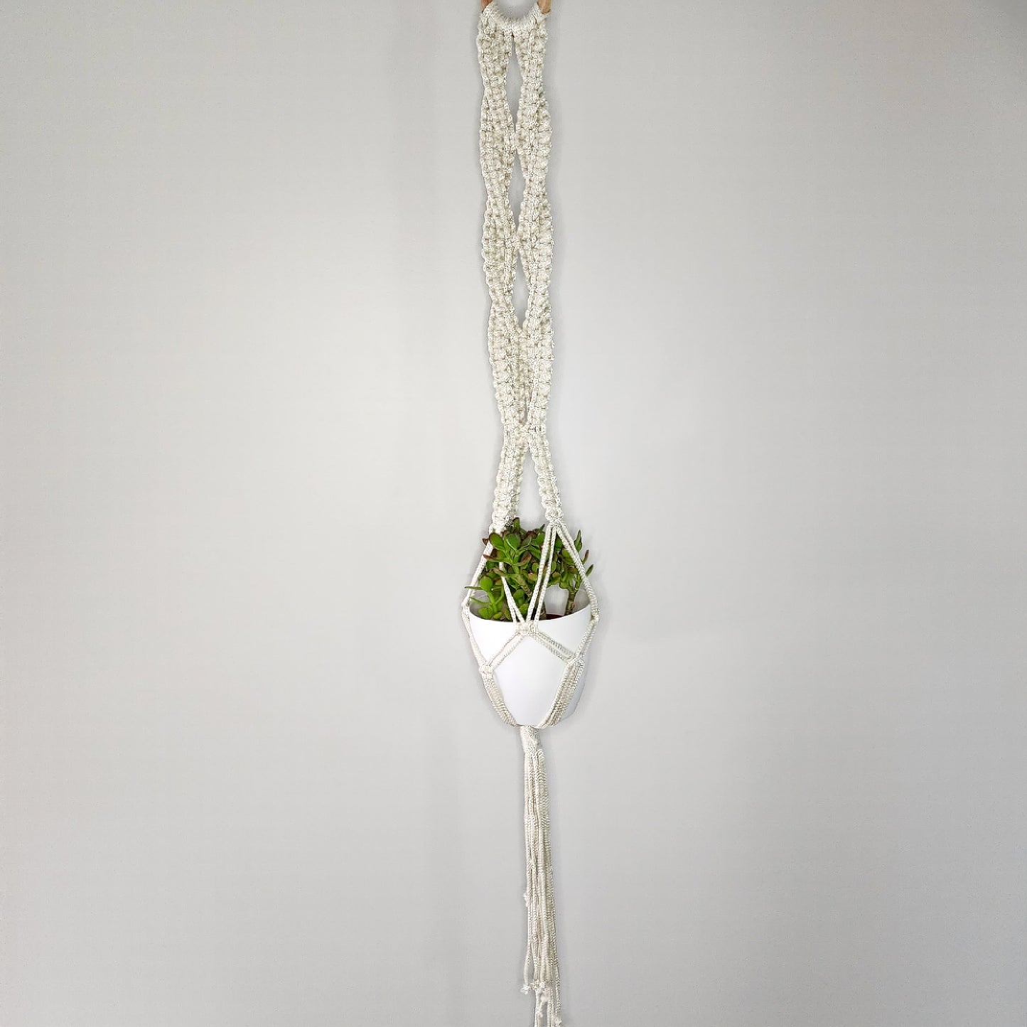 Macrame Plant Hanger - Marguerite