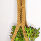 Macrame Plant Hanger - Marguerite