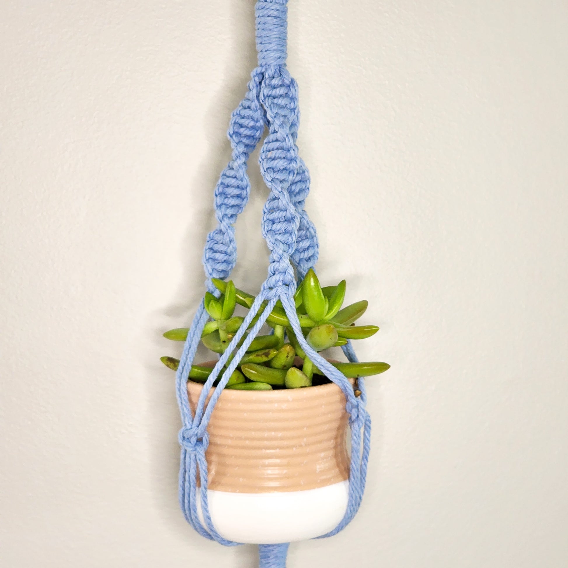 mini plant hanger Macrame Plant Hanger