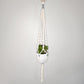 Macrame Plant hanger - Sunflower