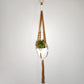 Macrame Plant hanger - Sunflower