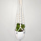 Macrame Plant hanger - Sunflower